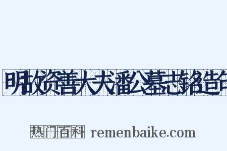 明故资善大夫潘公墓志铭造句是什么意思的图片